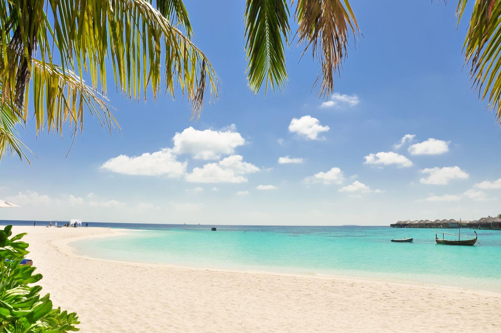Orange Bay Island