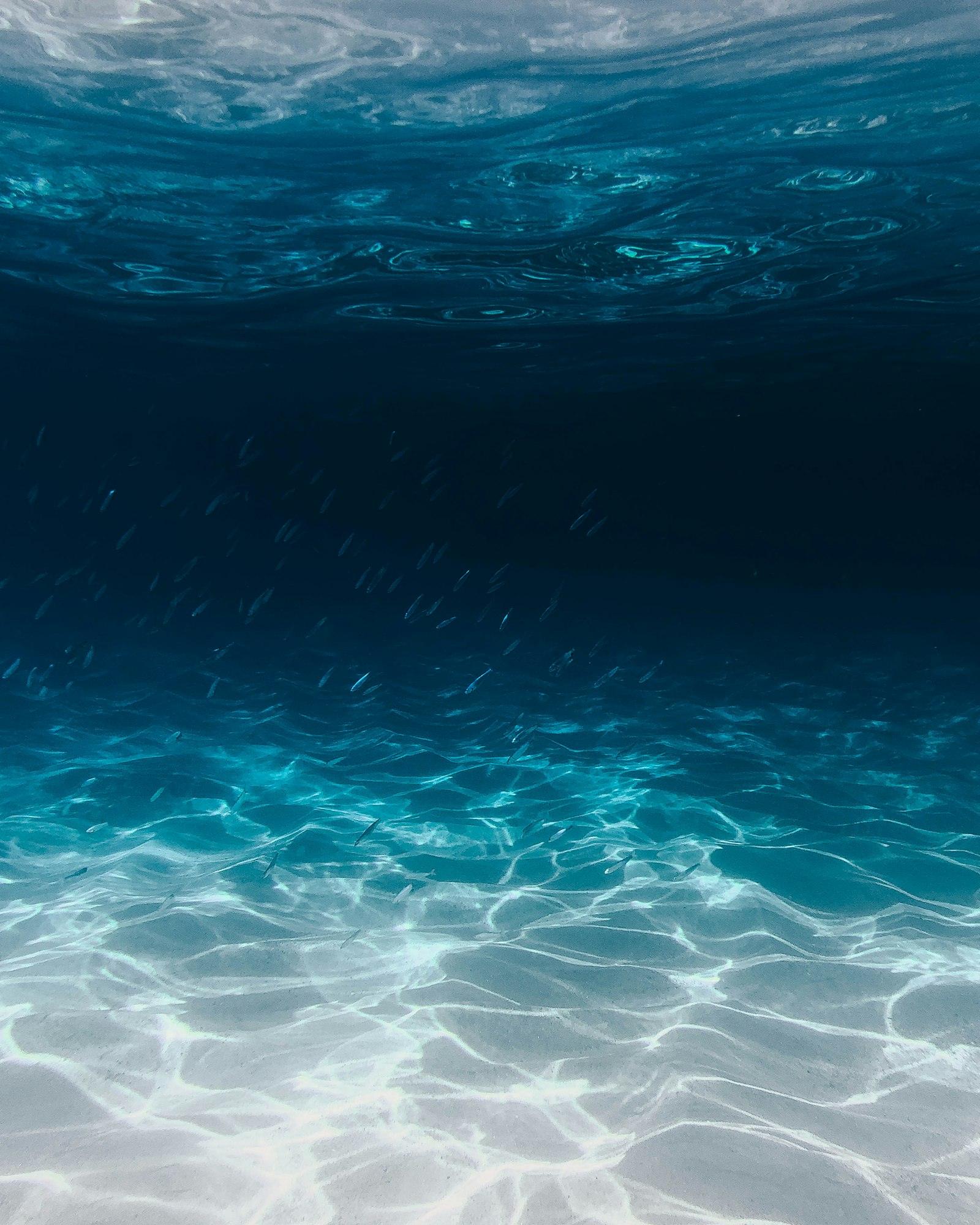 Semi-Submarine Experience
