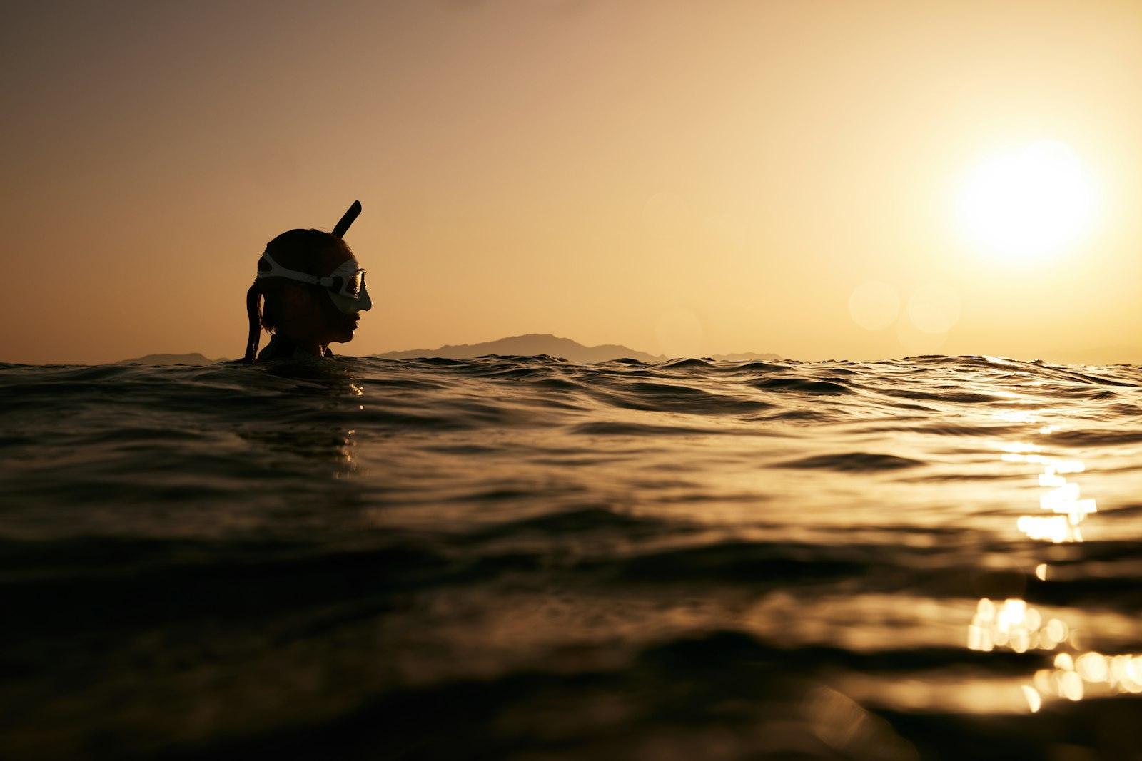 Diving in Sharm El Sheikh